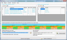 AccRepGen Access report | Paolo Guccini