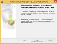 SqlServer Native Cliente install