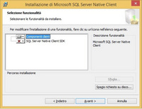 SqlServer Native Cliente install