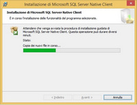 SqlServer Native Cliente install