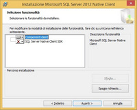 SqlServer Native Cliente install