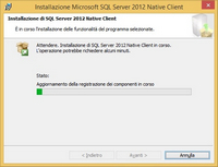 SqlServer Native Cliente install